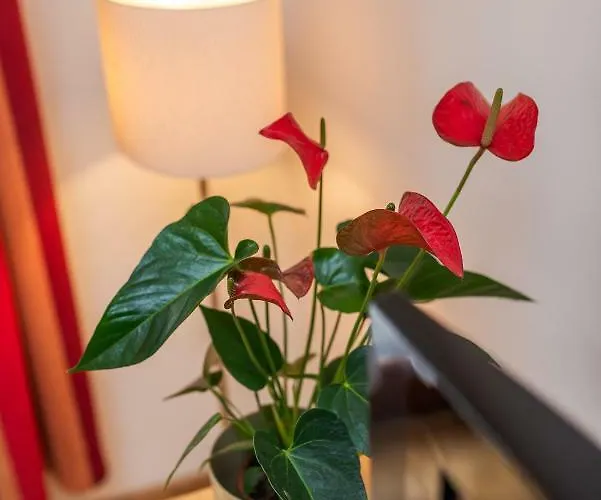 Apartman De Lux At The Synagogue Budapest