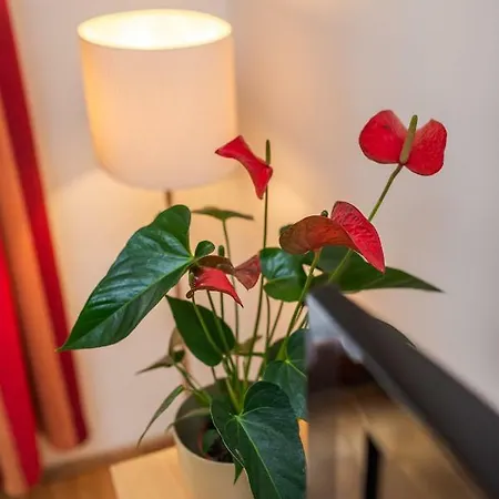 Appartamento De Lux At The Synagogue Budapest